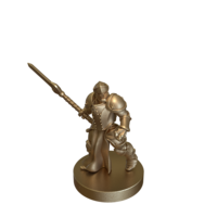 Warforged Fighter With Spear by Vae Victis